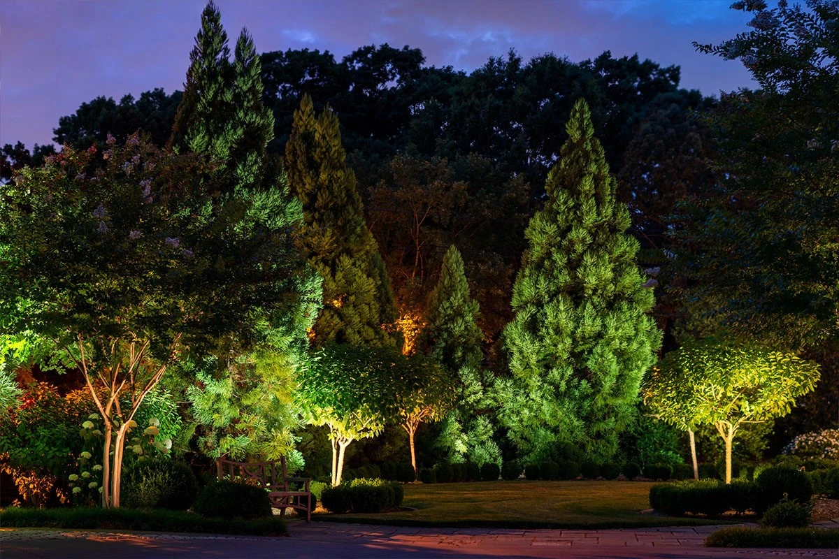 Tree light manufacturers