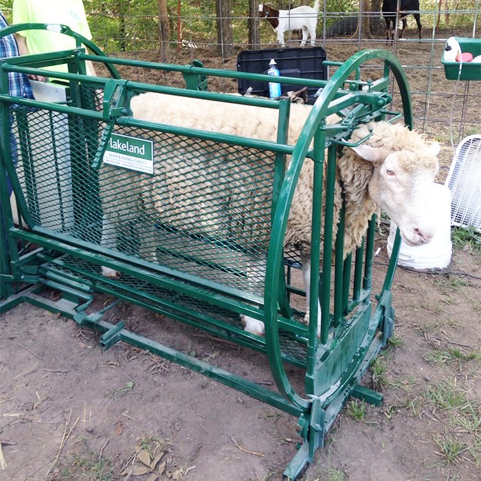Sheep Handling Chute Sheep Handling Chute