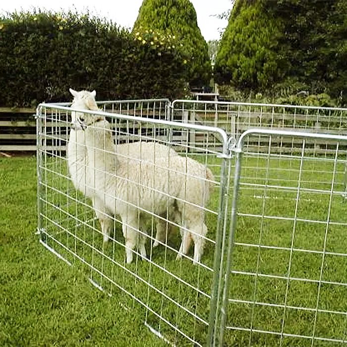 Sheep Wire Panels Sheep Wire Panels